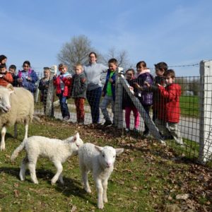 Classes de ferme à Landenne-sur-Meuse – Jour 1